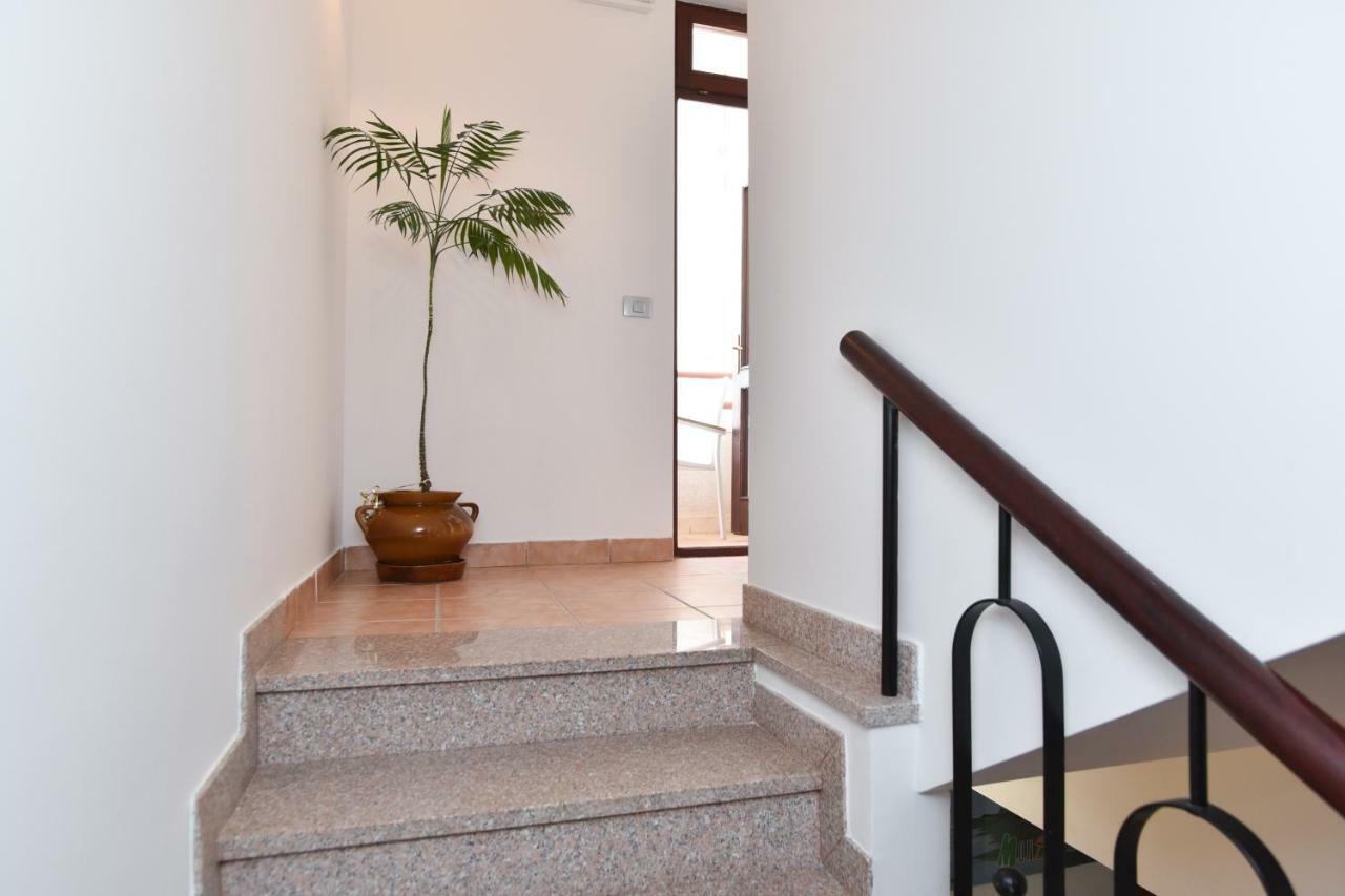 Guest House Jedro Petrovac المظهر الخارجي الصورة